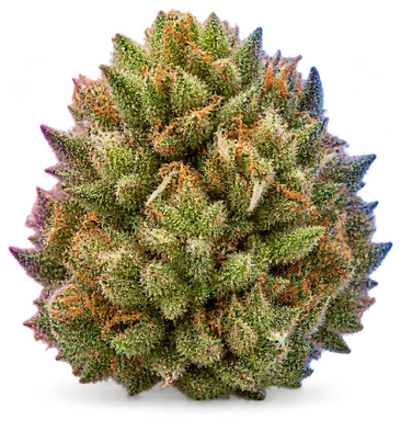 AI-generated illustration of a cannabis flower for the Pineapple Shotz page, not a photo of the strain