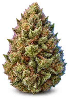 AI-generated illustration of a cannabis flower for the Pineapple Upside Down Cake page, not a photo of the strain