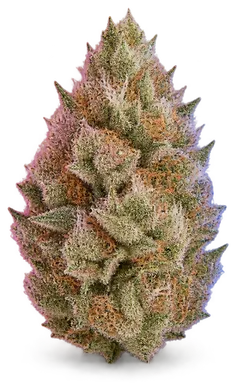 AI-generated illustration of a cannabis flower for the Pink Boost Goddess page, not a photo of the strain