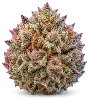 AI-generated illustration of a cannabis flower for the Pink Goddess page, not a photo of the strain