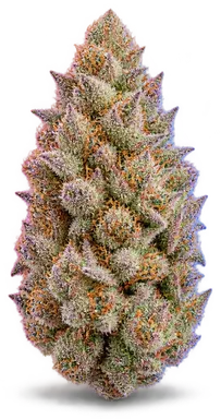 AI-generated illustration of a cannabis flower for the Pink Runtz page, not a photo of the strain