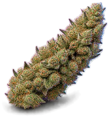 AI-generated illustration of a cannabis flower for the Pinnacle page, not a photo of the strain