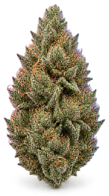 AI-generated illustration of a cannabis flower for the Pk Crasher page, not a photo of the strain