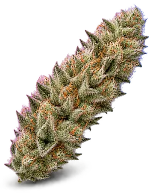 AI-generated illustration of a cannabis flower for the Plants Trilogy page, not a photo of the strain