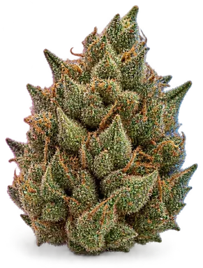 AI-generated illustration of a cannabis flower for the Platinum Bubba page, not a photo of the strain