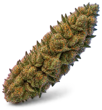AI-generated illustration of a cannabis flower for the Platinum Cake page, not a photo of the strain