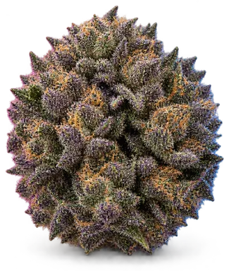 AI-generated illustration of a cannabis flower for the Platinum Grape Runtz page, not a photo of the strain