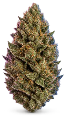 AI-generated illustration of a cannabis flower for the Platinum GSC page, not a photo of the strain