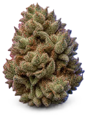 AI-generated illustration of a cannabis flower for the Point Break page, not a photo of the strain