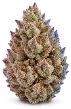 AI-generated illustration of a cannabis flower for the Poison Cherry page, not a photo of the strain