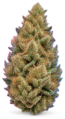 AI-generated illustration of a cannabis flower for the Poison Peaches page, not a photo of the strain