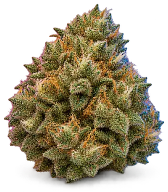 AI-generated illustration of a cannabis flower for the Pop Rox page, not a photo of the strain