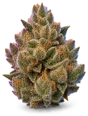 AI-generated illustration of a cannabis flower for the Primus page, not a photo of the strain
