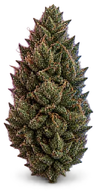 AI-generated illustration of a cannabis flower for the Private Reserve OG page, not a photo of the strain