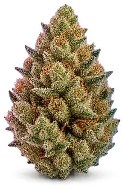 AI-generated illustration of a cannabis flower for the Puddles page, not a photo of the strain