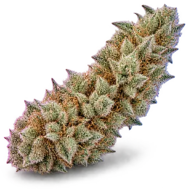 AI-generated illustration of a cannabis flower for the Punches Cream page, not a photo of the strain