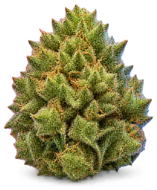 AI-generated illustration of a cannabis flower for the Pure Haze page, not a photo of the strain