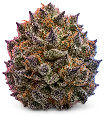 AI-generated illustration of a cannabis flower for the Purple Chem page, not a photo of the strain