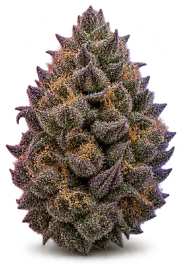 AI-generated illustration of a cannabis flower for the Purple Fizz page, not a photo of the strain