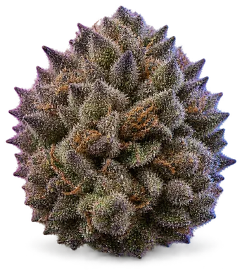 AI-generated illustration of a cannabis flower for the Purple Guava page, not a photo of the strain
