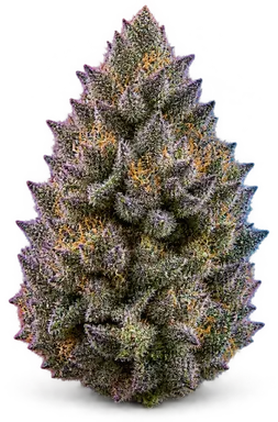 AI-generated illustration of a cannabis flower for the Purple Permanent Marker page, not a photo of the strain