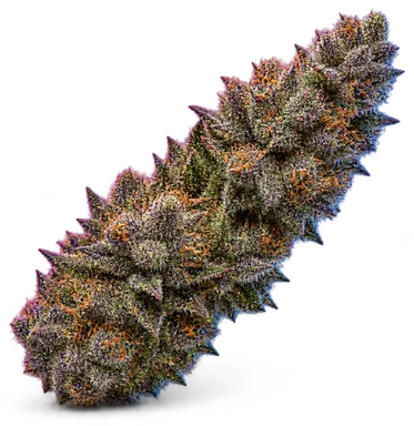 AI-generated illustration of a cannabis flower for the Purple Punch page, not a photo of the strain