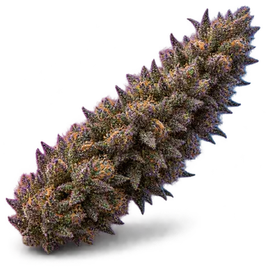 AI-generated illustration of a cannabis flower for the Purple Punch Cake page, not a photo of the strain