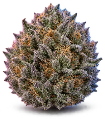 AI-generated illustration of a cannabis flower for the Purple Punch Flowers page, not a photo of the strain