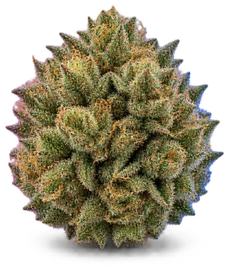 AI-generated illustration of a cannabis flower for the Rainbow Runtz page, not a photo of the strain