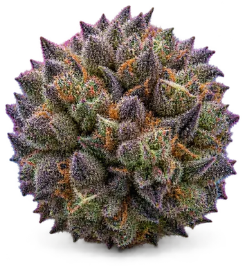 AI-generated illustration of a cannabis flower for the Raspberry Sorbet page, not a photo of the strain