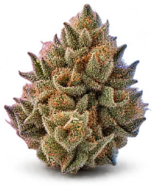 AI-generated illustration of a cannabis flower for the Raw page, not a photo of the strain