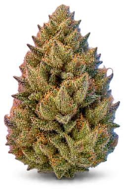 AI-generated illustration of a cannabis flower for the Red Bullz page, not a photo of the strain