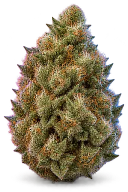 AI-generated illustration of a cannabis flower for the Red Velvet page, not a photo of the strain