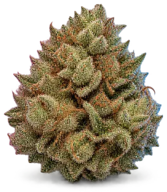 AI-generated illustration of a cannabis flower for the Refined Taste page, not a photo of the strain