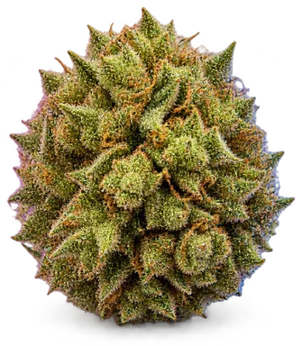 AI-generated illustration of a cannabis flower for the Reina Haze page, not a photo of the strain