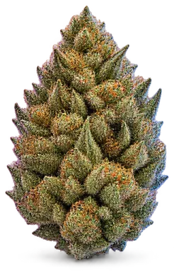 AI-generated illustration of a cannabis flower for the Rick James Runtz page, not a photo of the strain