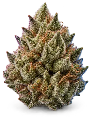 AI-generated illustration of a cannabis flower for the Rocket Fuel page, not a photo of the strain