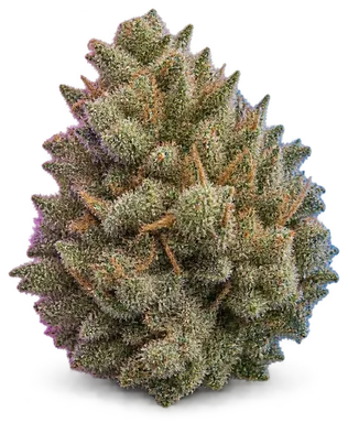 AI-generated illustration of a cannabis flower for the Rockyroad 8 page, not a photo of the strain