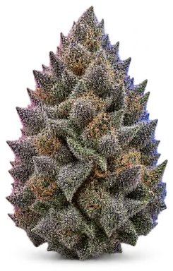 AI-generated illustration of a cannabis flower for the Romulan Grapefruit page, not a photo of the strain