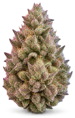 AI-generated illustration of a cannabis flower for the Rose Killer page, not a photo of the strain