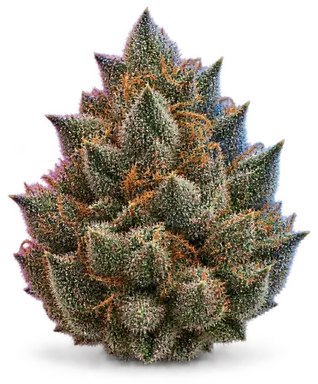 AI-generated illustration of a cannabis flower for the Roxanne Kush page, not a photo of the strain