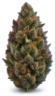 AI-generated illustration of a cannabis flower for the Royal Chem page, not a photo of the strain