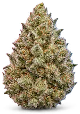 AI-generated illustration of a cannabis flower for the Royal Creeme Cracker page, not a photo of the strain