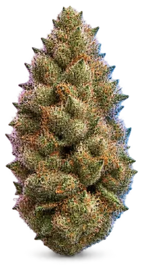 AI-generated illustration of a cannabis flower for the Royal Wappa page, not a photo of the strain