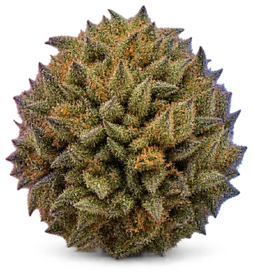 AI-generated illustration of a cannabis flower for the Rpf page, not a photo of the strain