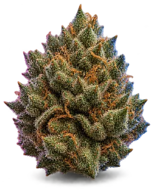 AI-generated illustration of a cannabis flower for the Rudeboi OG page, not a photo of the strain