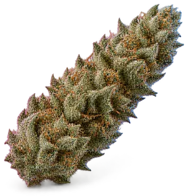 AI-generated illustration of a cannabis flower for the Runtz page, not a photo of the strain