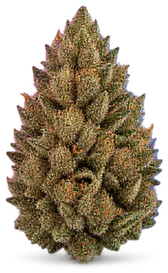 AI-generated illustration of a cannabis flower for the Runtz Of Eden page, not a photo of the strain