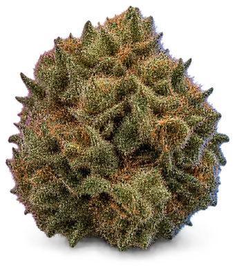 AI-generated illustration of a cannabis flower for the Sage page, not a photo of the strain