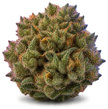 AI-generated illustration of a cannabis flower for the Secret Triangle page, not a photo of the strain